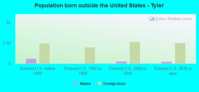 Population born outside the United States - Tyler