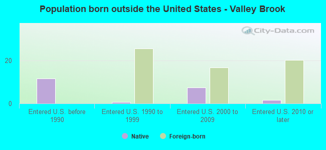 Population born outside the United States - Valley Brook