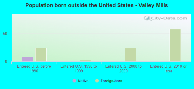 Population born outside the United States - Valley Mills