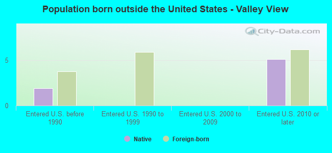 Population born outside the United States - Valley View