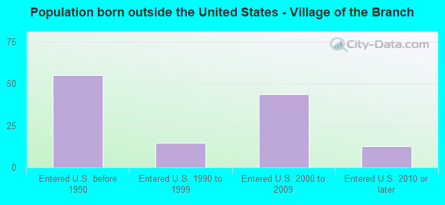 Population born outside the United States - Village of the Branch