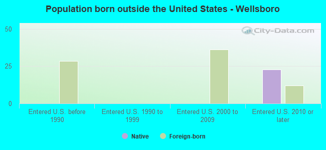 Population born outside the United States - Wellsboro