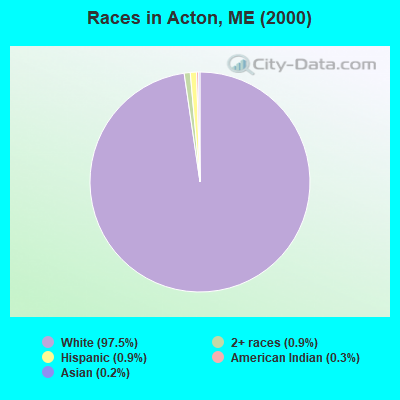 Races in Acton, ME (2000)