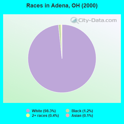 Races in Adena, OH (2000)