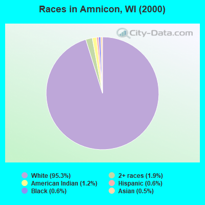 Races in Amnicon, WI (2000)