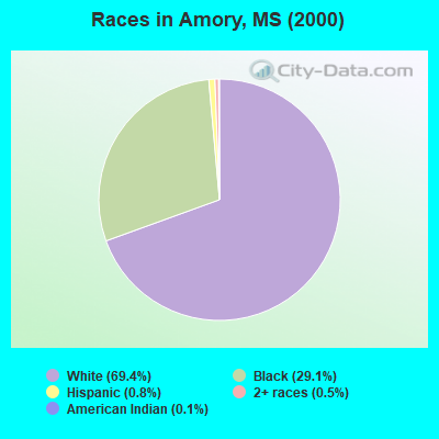 Races in Amory, MS (2000)