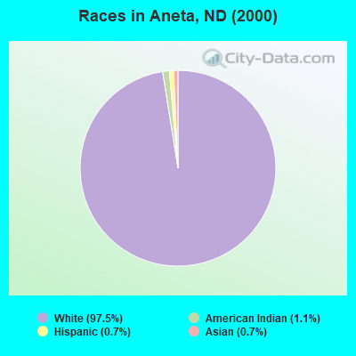 Races in Aneta, ND (2000)