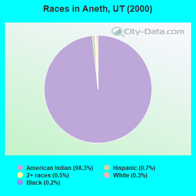Races in Aneth, UT (2000)