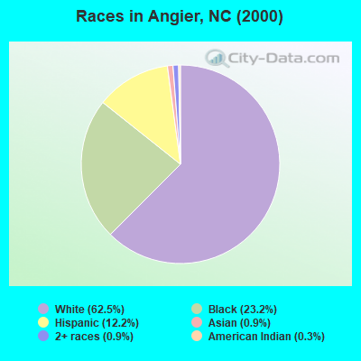Races in Angier, NC (2000)
