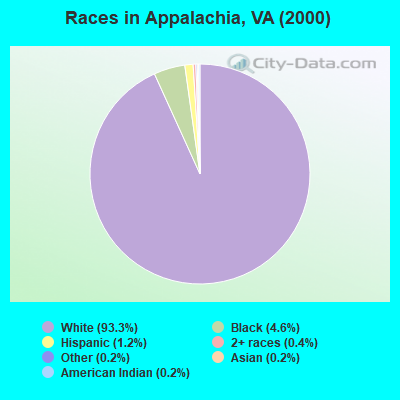 Races in Appalachia, VA (2000)