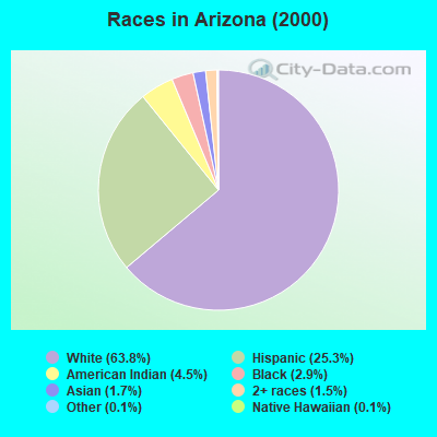 Races in Arizona (2000)