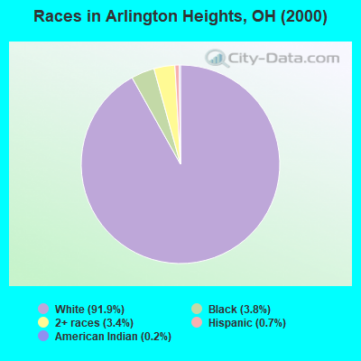 Races in Arlington Heights, OH (2000)