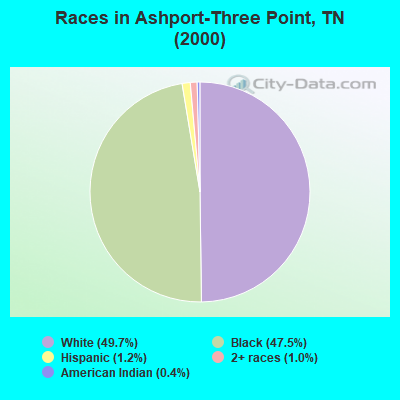 Races in Ashport-Three Point, TN (2000)
