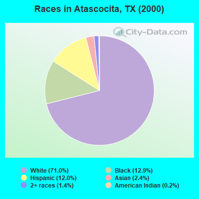 Races in Atascocita, TX (2000)
