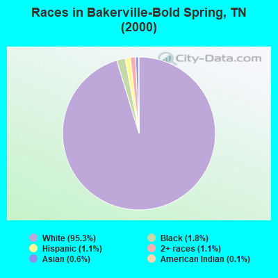 Races in Bakerville-Bold Spring, TN (2000)