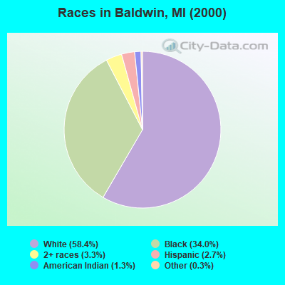 Races in Baldwin, MI (2000)