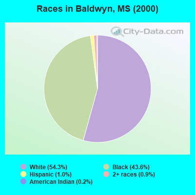 Races in Baldwyn, MS (2000)