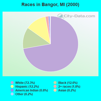 Races in Bangor, MI (2000)