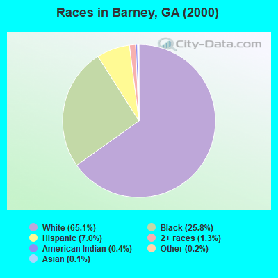 Races in Barney, GA (2000)