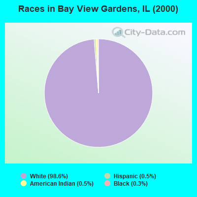Races in Bay View Gardens, IL (2000)