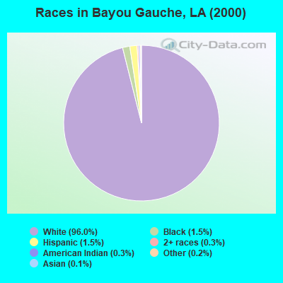 Races in Bayou Gauche, LA (2000)