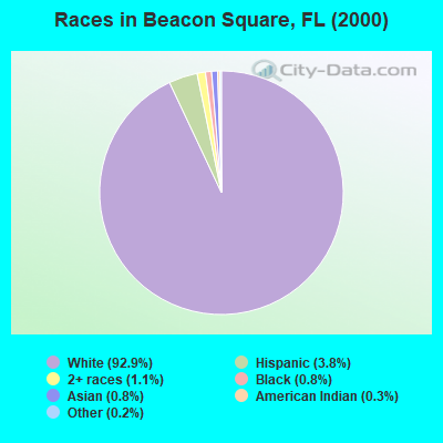 Races in Beacon Square, FL (2000)