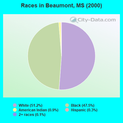 Races in Beaumont, MS (2000)