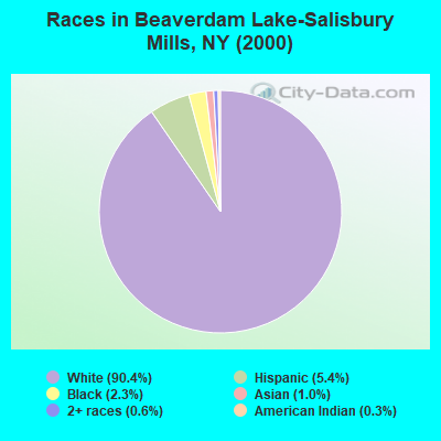 Races in Beaverdam Lake-Salisbury Mills, NY (2000)
