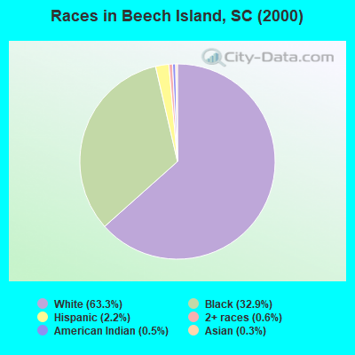 Races in Beech Island, SC (2000)
