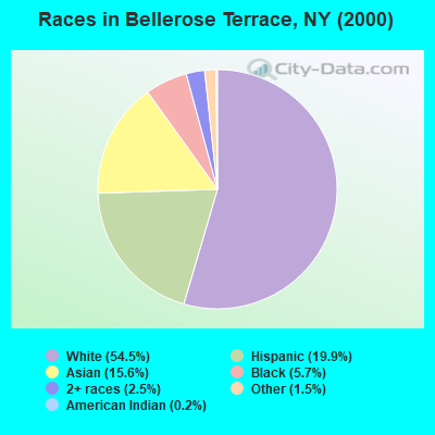 Races in Bellerose Terrace, NY (2000)