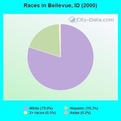 Races in Bellevue, ID (2000)