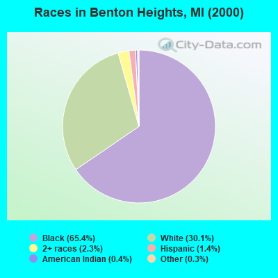Races in Benton Heights, MI (2000)