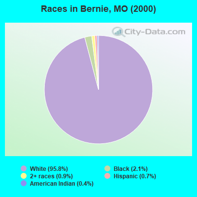 Races in Bernie, MO (2000)