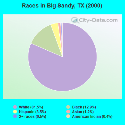 Races in Big Sandy, TX (2000)