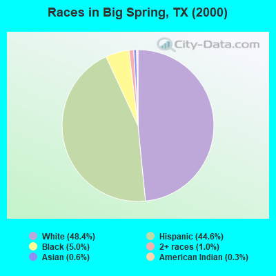 Races in Big Spring, TX (2000)