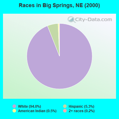 Races in Big Springs, NE (2000)