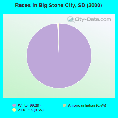 Races in Big Stone City, SD (2000)