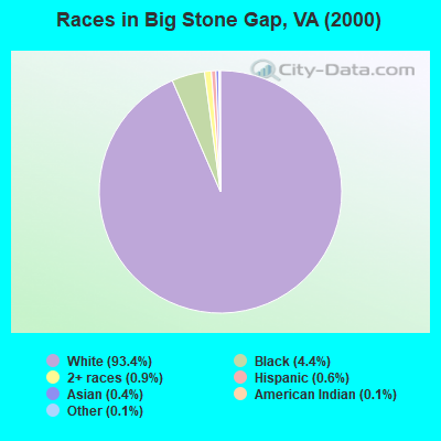 Races in Big Stone Gap, VA (2000)