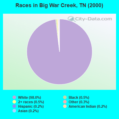 Races in Big War Creek, TN (2000)