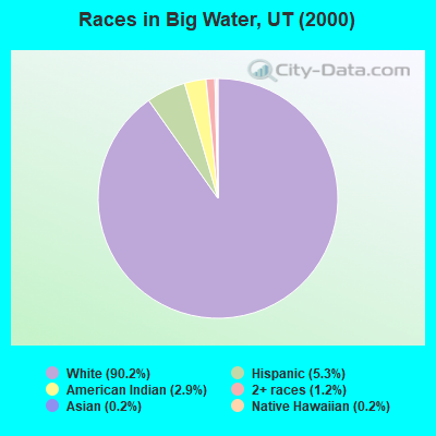Races in Big Water, UT (2000)