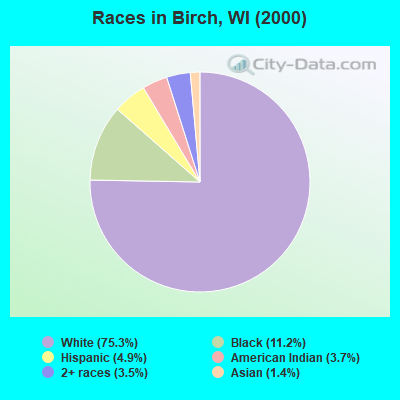 Races in Birch, WI (2000)