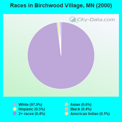 Races in Birchwood Village, MN (2000)