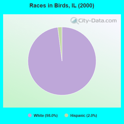 Races in Birds, IL (2000)