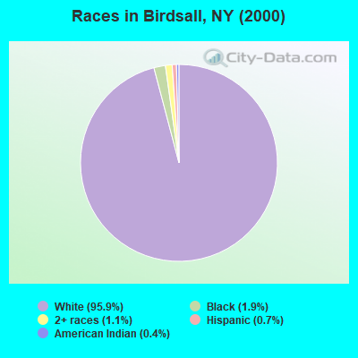 Races in Birdsall, NY (2000)