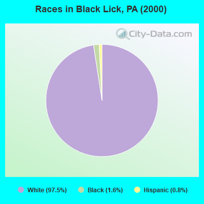 Races in Black Lick, PA (2000)