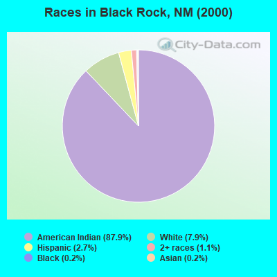 Races in Black Rock, NM (2000)