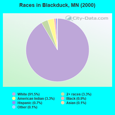 Races in Blackduck, MN (2000)