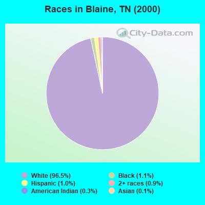 Races in Blaine, TN (2000)