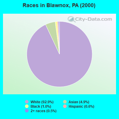 Races in Blawnox, PA (2000)