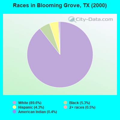 Races in Blooming Grove, TX (2000)